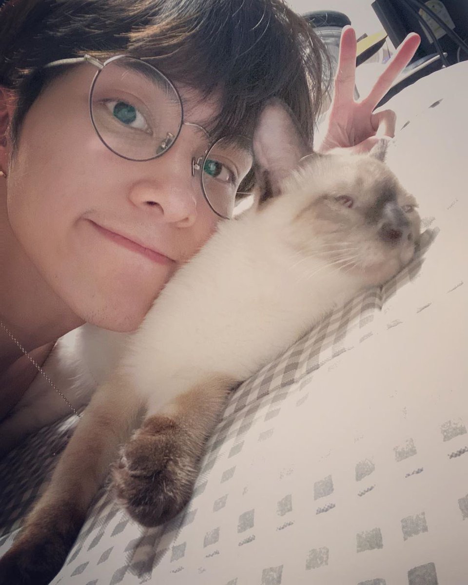 hendery as ragdolls 🐱 tweet media
