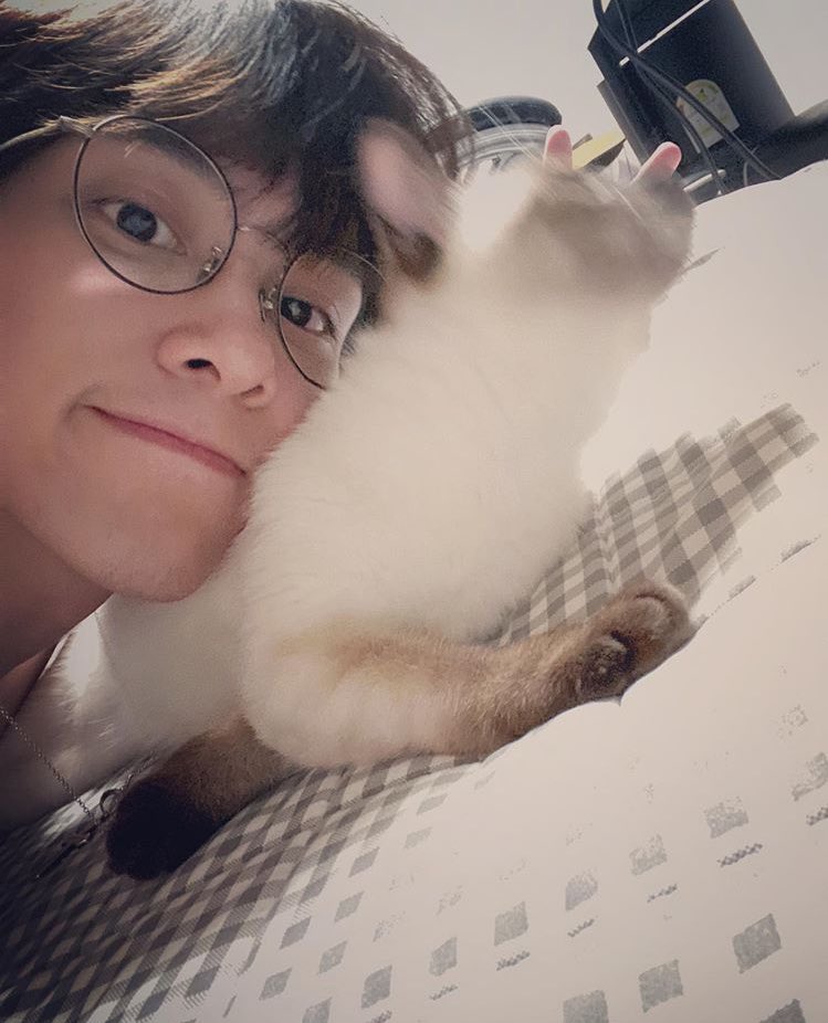 hendery as ragdolls 🐱 tweet media
