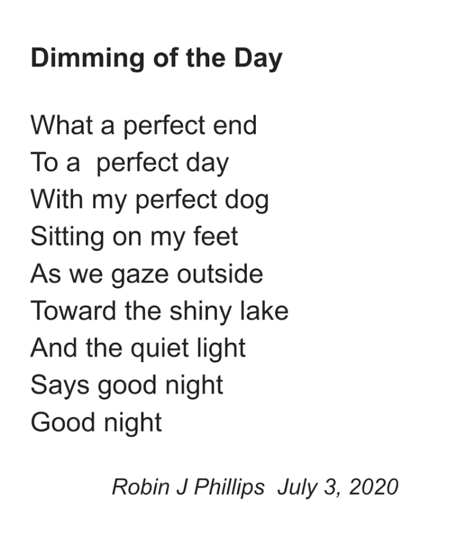 Robin J Phillips 🏳️🌈 tweet media