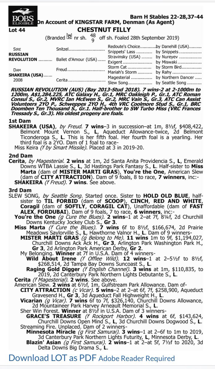 Christos_Zin's tweet photo. Buy the one you want, not the one that’s left! Pleased to secure lot 44, @NewgateFarm Russian Revolution filly out of stakes winning USA mare SHAKEIRA. Her half brother by Zoustar was a $900,000 yearling sold to @Spendthrift_au @HawkesRacing https://t.co/NlLktWh0PX