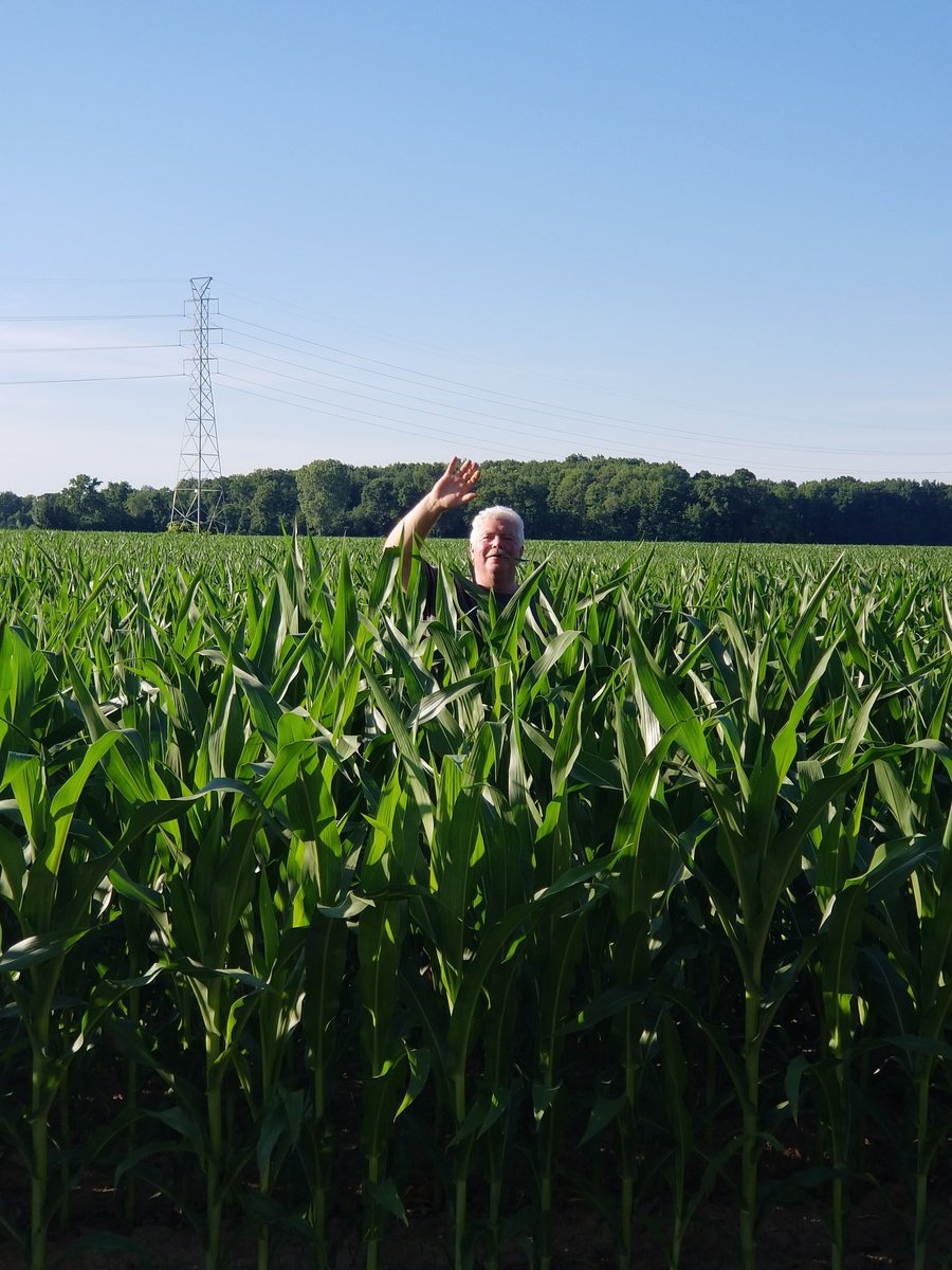 missionoola's tweet photo. Have you heard the old farmers' saying that the corn is supposed to be "Knee high by the Fourth of July"? I think we did it 😂 Now, that's #Oola (especially since my husband is 6'2" tall. LOL) https://t.co/tQHaHXjC5k
