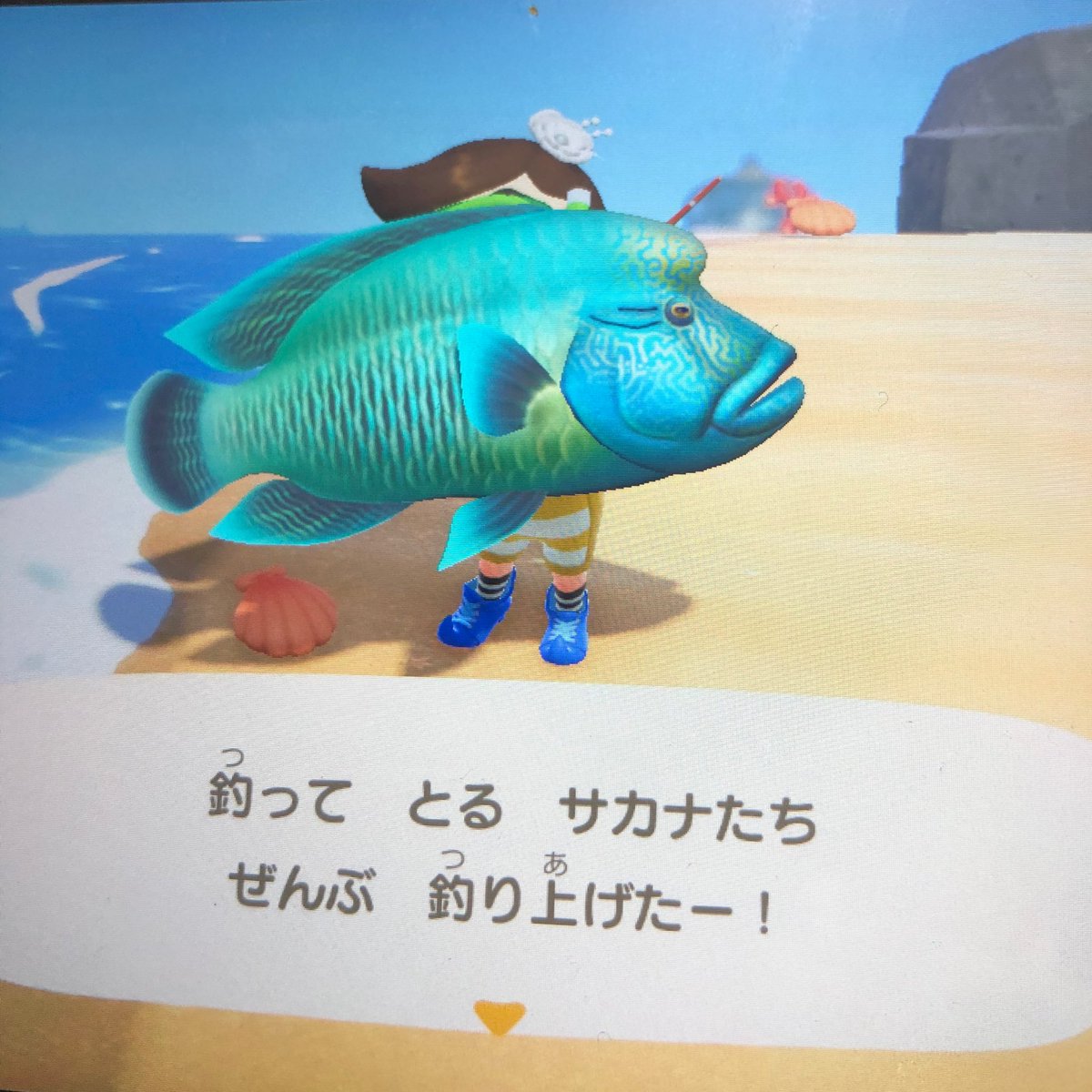 apathest's tweet photo. おサカナ揃った！ https://t.co/ODQKNkNaYI