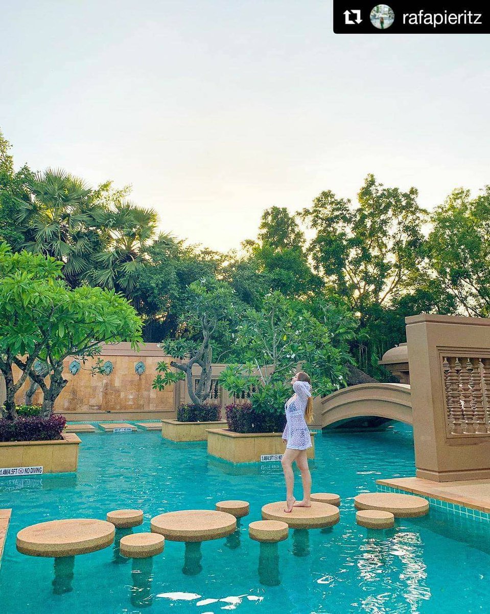 LMAngkor's tweet photo. 🌴💦 Are you ready to jump in our beautiful tropical turquoise pool? Let the countdown begin and we will see you in 7 days!

#SeeYouOn15July #LeMeridienAngkor #LeMeridienHotels #DestinationUnlocked #WeWillTravelAgain
📸 Photo courtesy of our lovely guests (credit on the images). https://t.co/VR9emivlfo