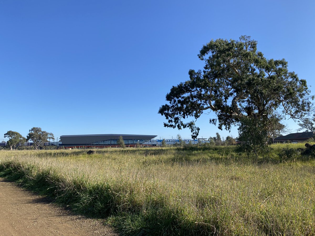 I live in an LGA with very few cases, I’ve got very good reason to believe I’m not infected, & Plenty Gorge is only 40 minutes from my house & rarely visited (I met 4 other people in a 4 hour walk), so I figured it’d be low-risk. Plus my destination, Mernda Station, is REMOTE: