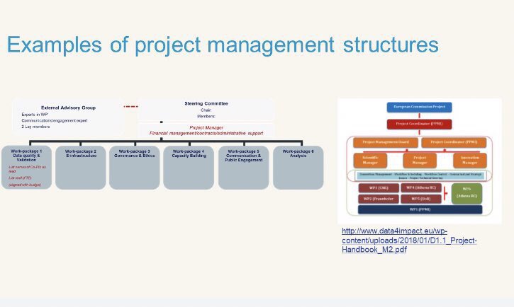 An example of a project management group for a grant with a different work packages.