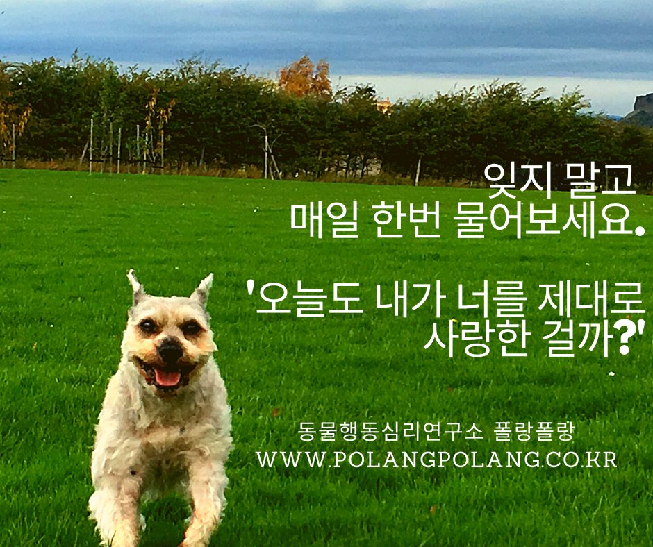 매일 밤 잠자리에 들기 전에 굿나잇 인사를 하면서 
반려동물의 가슴에 가만히 손을 올리고 
반려동물에게, 그리고 나 자신에게 물어보세요.

blog.naver.com/animalmind/222…

#반려견 #반려동물 #개 #강아지 #고양이 #동물행동심리 #반려견전문가 #폴랑폴랑 #동물행동전문가 #동물행동심리전문가