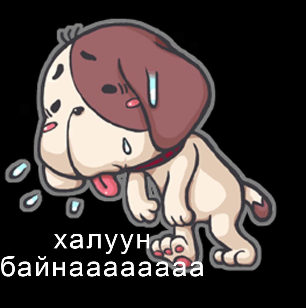 Халуун байна аа 🤪🤪🤪