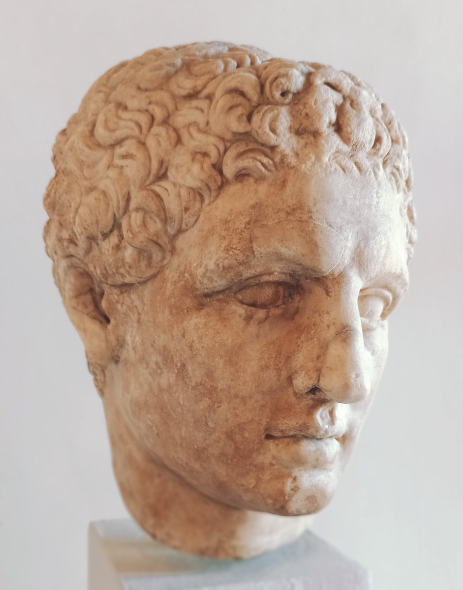 MuseoArcheoVene tweet picture
