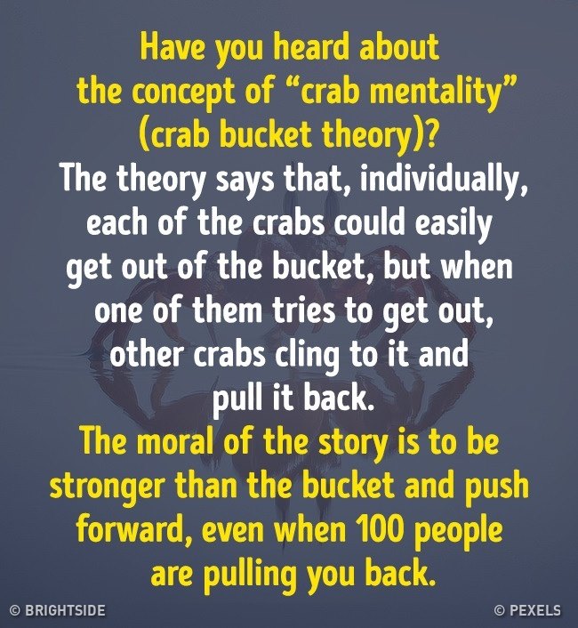bright_side_me's tweet photo. Well said.
#brightside #brightgram #picture #crabbucket #buckettheory https://t.co/nYBZcLfAAR