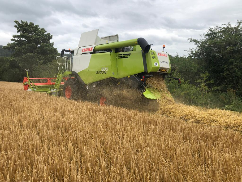 ClaasWestern's tweet photo. Kidner Agricultural Contractors with their new LEXION 630 MONTANA.
Thank you for your ongoing business and to our Field Sales Manager George Evans.🚜😃‼️
@claas #claas #machinery #farminglife #britishfarming #agriculturalcontractors #lexion #harvest #teamkidner https://t.co/GEztrKgKWJ