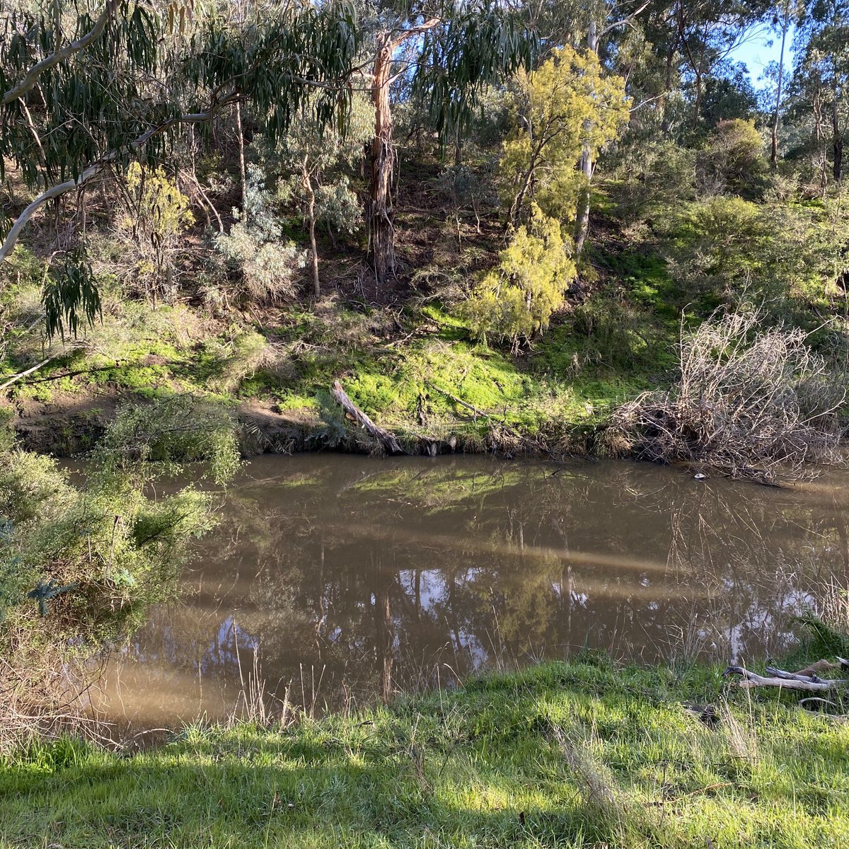 But all good things come to an end. Plenty Gorge Park is such an incredible place. But it’ll still be there in August. I really needed that time in the bush to fill me up for the weeks ahead but it’ll be back to walking round my local patch for the next 6 weeks, just like before.