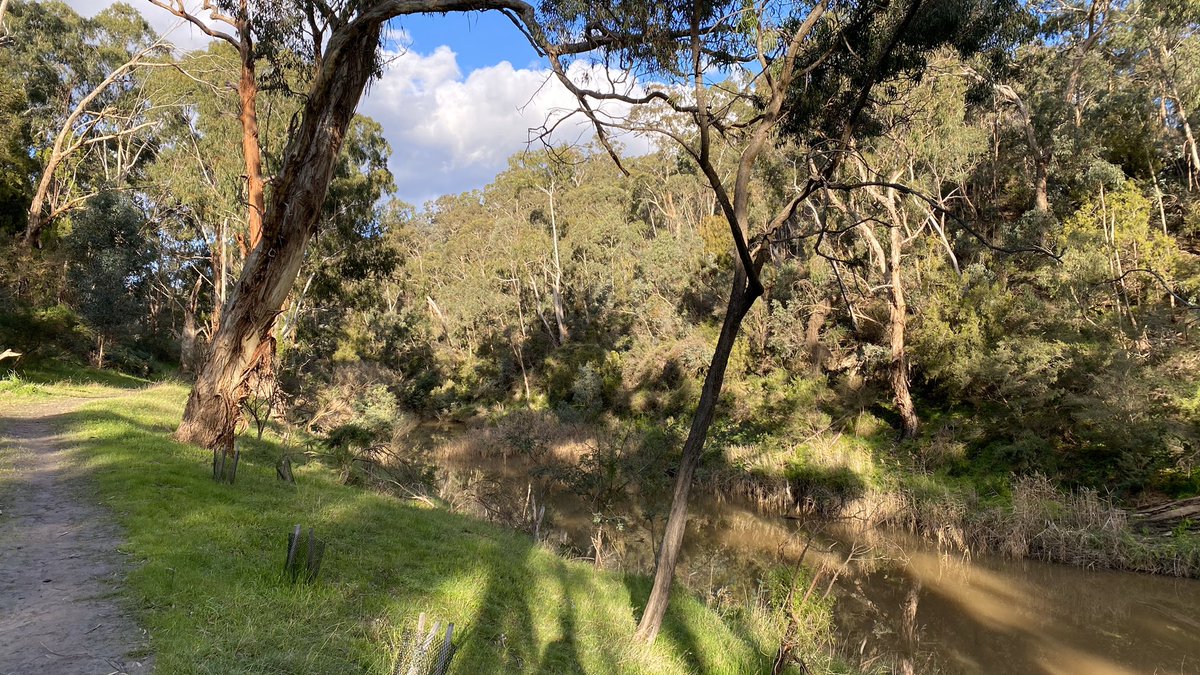 But all good things come to an end. Plenty Gorge Park is such an incredible place. But it’ll still be there in August. I really needed that time in the bush to fill me up for the weeks ahead but it’ll be back to walking round my local patch for the next 6 weeks, just like before.
