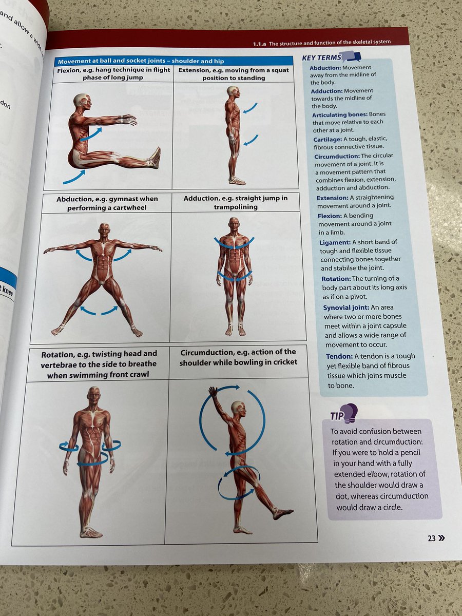 It’s finally happened. Thanks <a href="/IlluminatePub/">Радивой Їжак</a>, <a href="/LauraSwaithes/">Laura Swaithes</a>, <a href="/TAH2009/">Tracey Healey</a>, <a href="/OCR_PhysEd/">Cambridge OCR Physical Education</a> <a href="/DanHutchwork/">Dan Hutchinson</a> <a href="/sarah_jono/">Sarah Johnson</a> &amp; many more for helping make this happen. Interested to hear if its “the book teachers want &amp; students need to succeed on the #OCR GCSE PE course? forms.gle/JN6vySZSY46Mws…