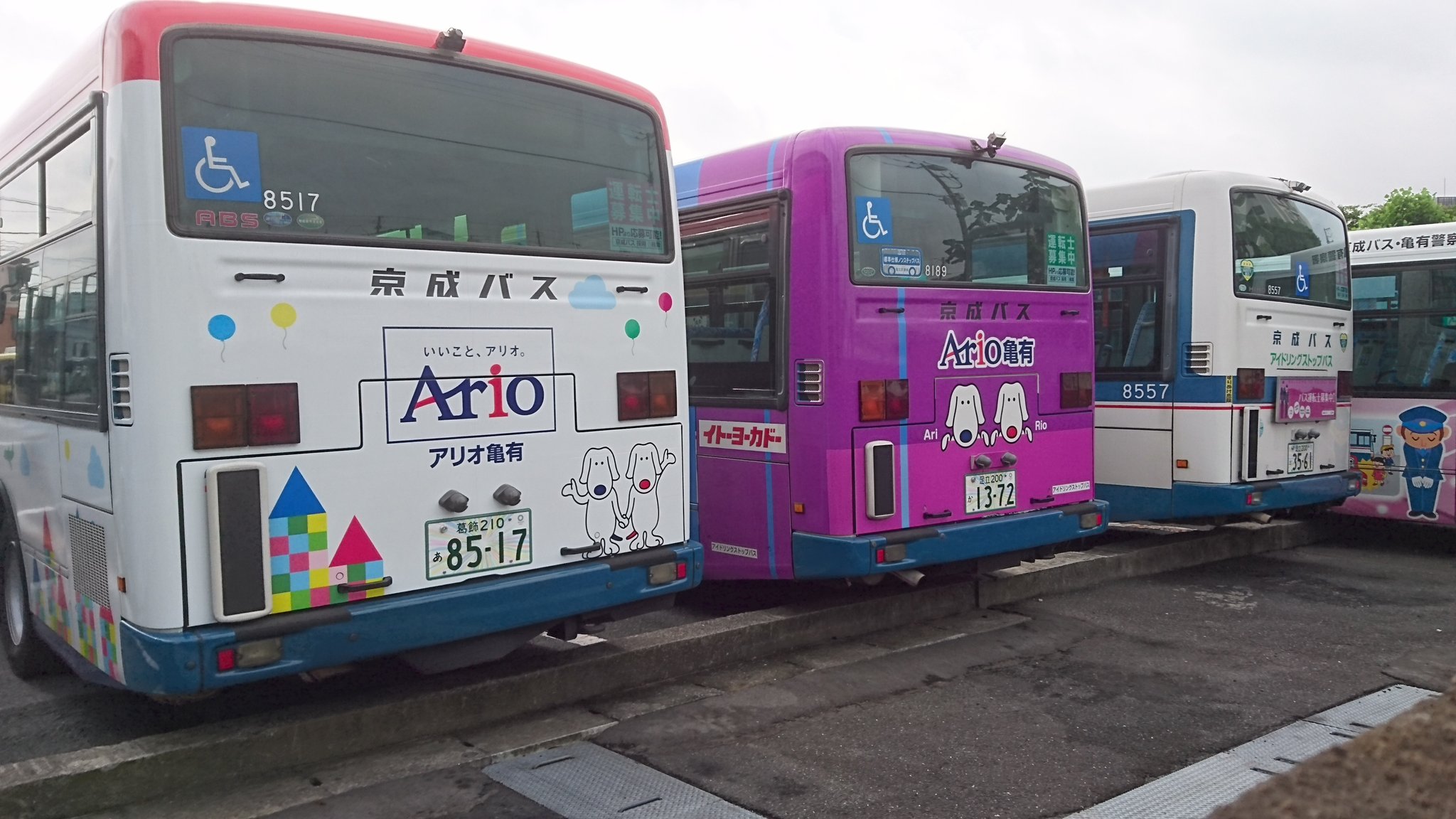 京成バス松戸 3営 金町営業にて 先日長沼からの転属車8517号車 25年式元n517号車 0517号車 81号車 アリオ専属車 06年式除籍確定 5月に除籍した8108号車もいまだ行き先決まらず 京成バス