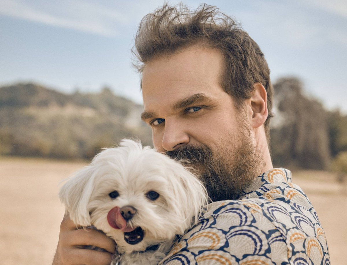 ❤️ this to plot?