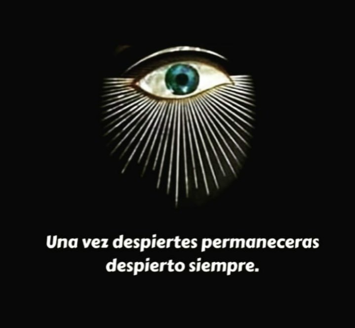 markmaes's tweet image. 