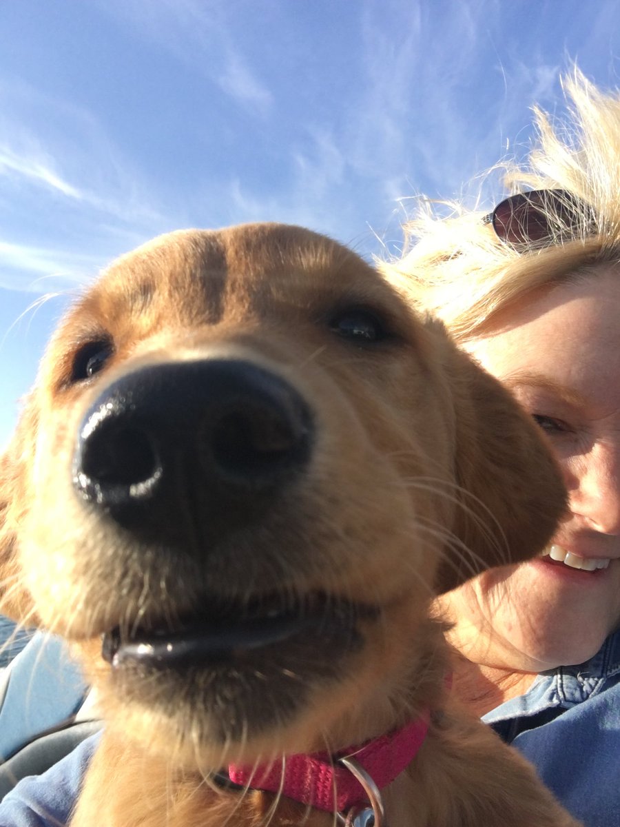 MollyMarie3312's tweet photo. Please enjoy these pictures my mom took of Penny having the time of her life on her first boat ride. https://t.co/OMBPEUAznw