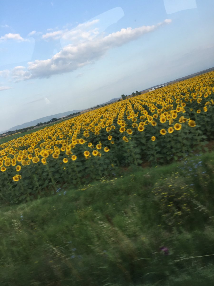 Uzak dediğin önce içinde birikir insanın...Sonrası yalnızca yoldur #GÜNAYDIN ❤️❤️ #anlık