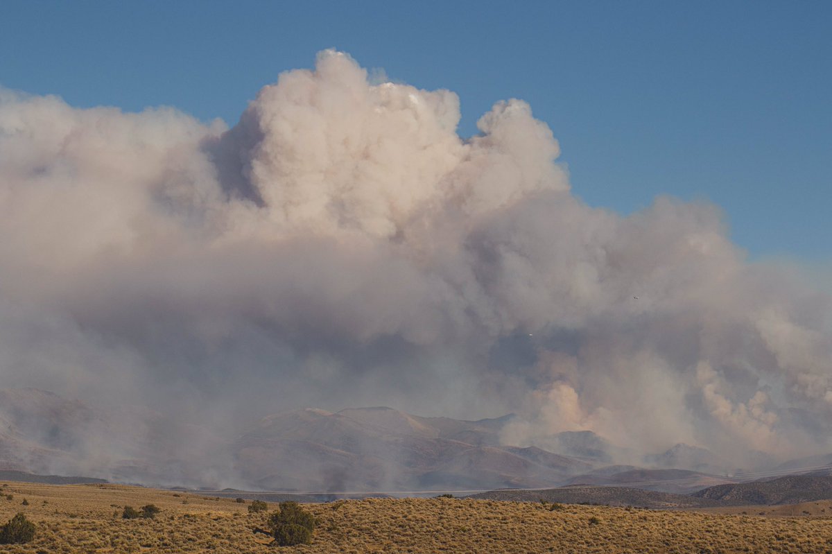 Ryface's tweet image. #NumbersFire #vlat