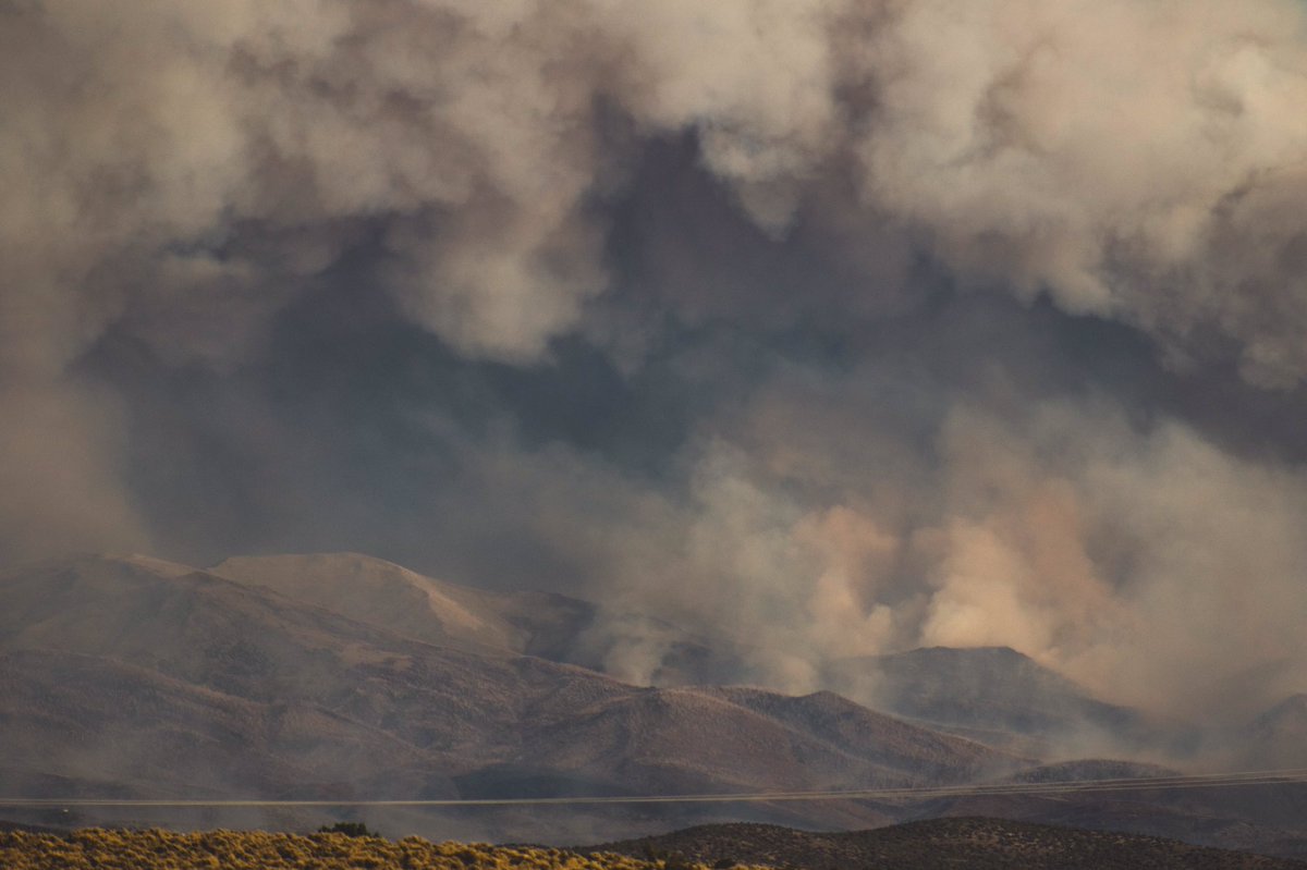 Ryface's tweet image. #NumbersFire #vlat