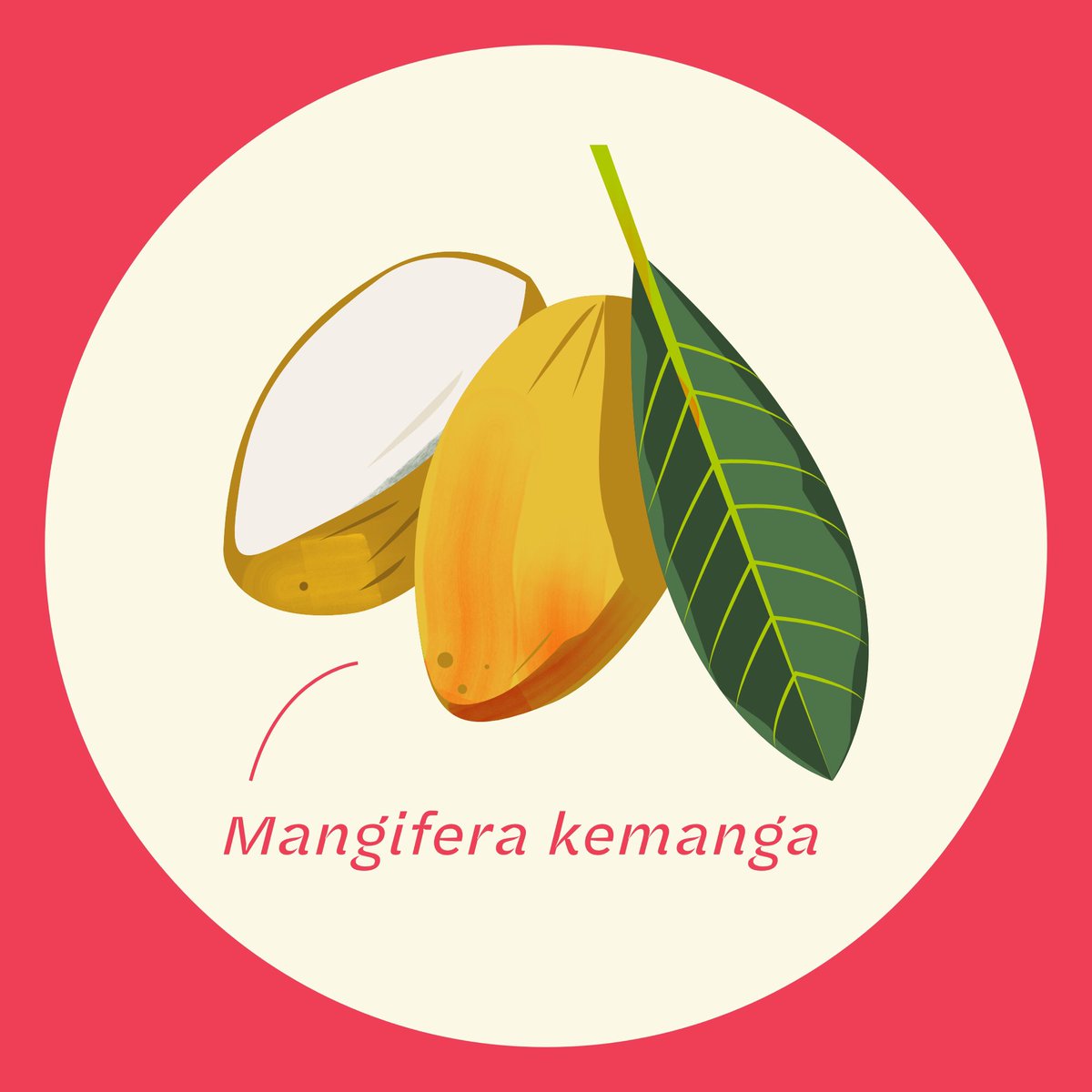 toramichan's tweet photo. #kemang #jaksel. Kolaborasi spesial @heimlo x Aksara. Detail bisa dilihat di @behance https://t.co/Dx5cHY1WgU dan IG (at)heimlostudio https://t.co/GOfpvZ5zgJ