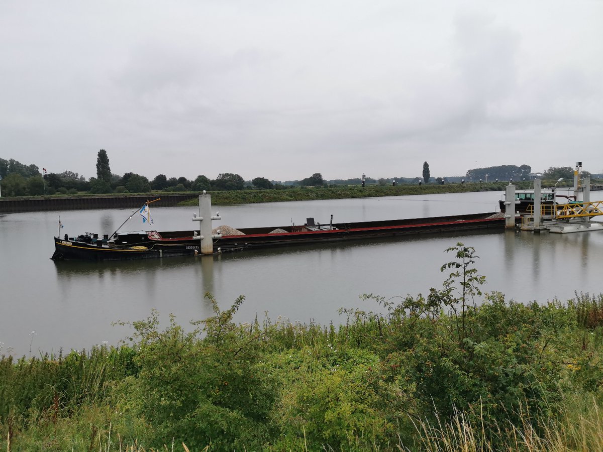 Maas tweet. 🌧️🌧️