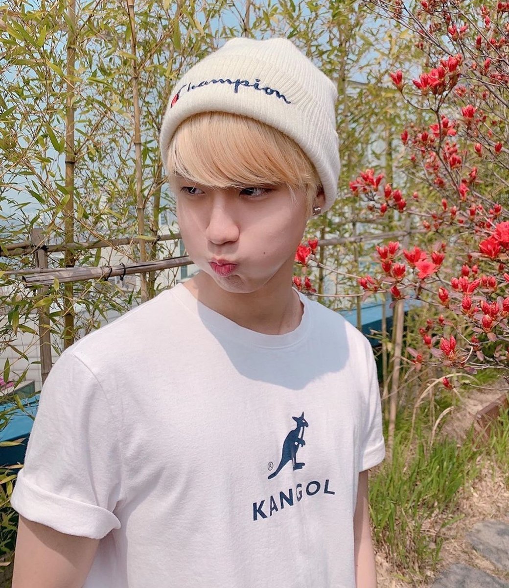 thinking about jilix (@jilixsloops) on Twitter photo 