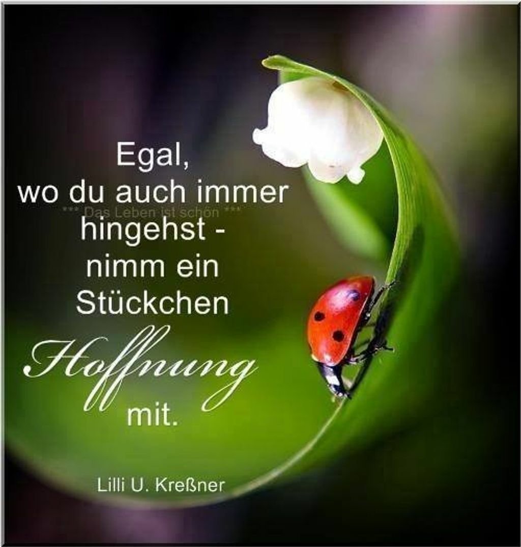 Pҽɾԃiƚa Guten Morgen Liebe Marlies Und Schon Ist Der Donnerstag Da Hab Einen Schonen Stressfreien