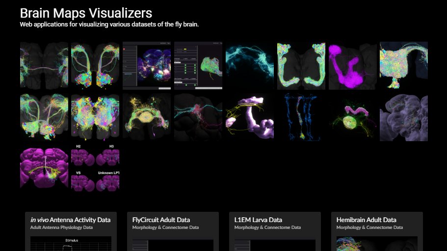 FlyBrainObs's tweet photo. Fruit Fly Brain Observatory website has now been updated; check out https://t.co/KfO1rDBaOe ! Interact with and explore tags for the #hemibrain dataset! #brain #Drosophila #ffbo https://t.co/xQMbJjog6X