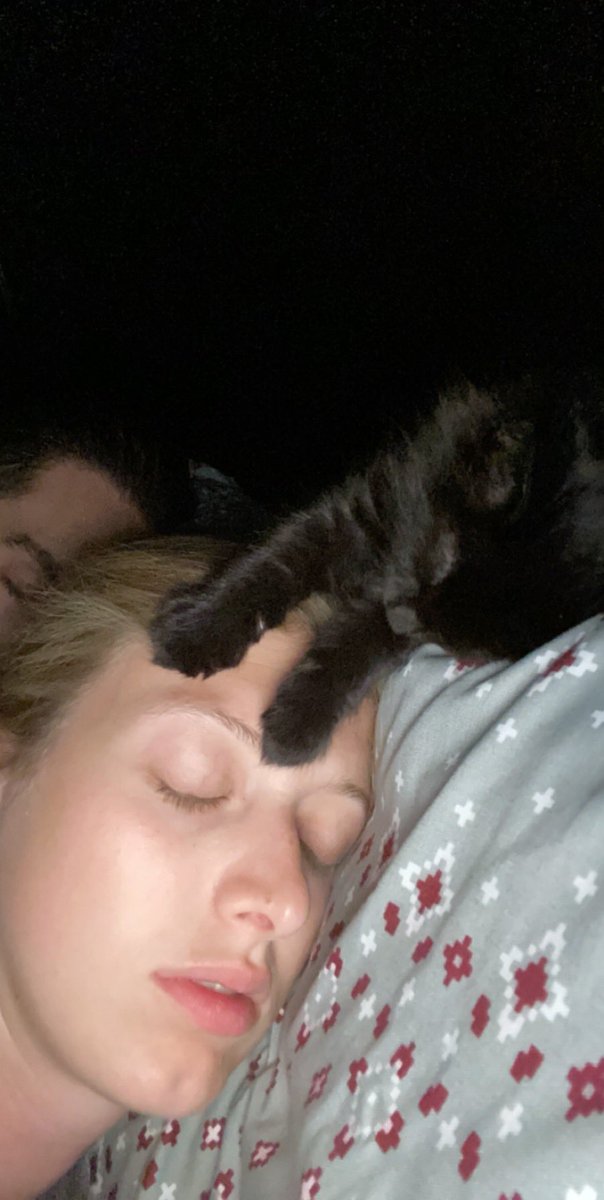 bhorn42's tweet photo. This is what sleeping with a kitten looks like 🖤🐾 https://t.co/QWSkEw2fQ8
