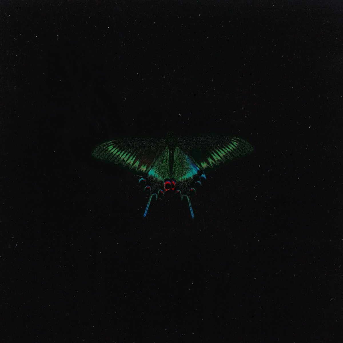 BXWMusic's tweet photo. Welcome to BXW 🦋 music coming soon... https://t.co/T8JXPs0Zj1
