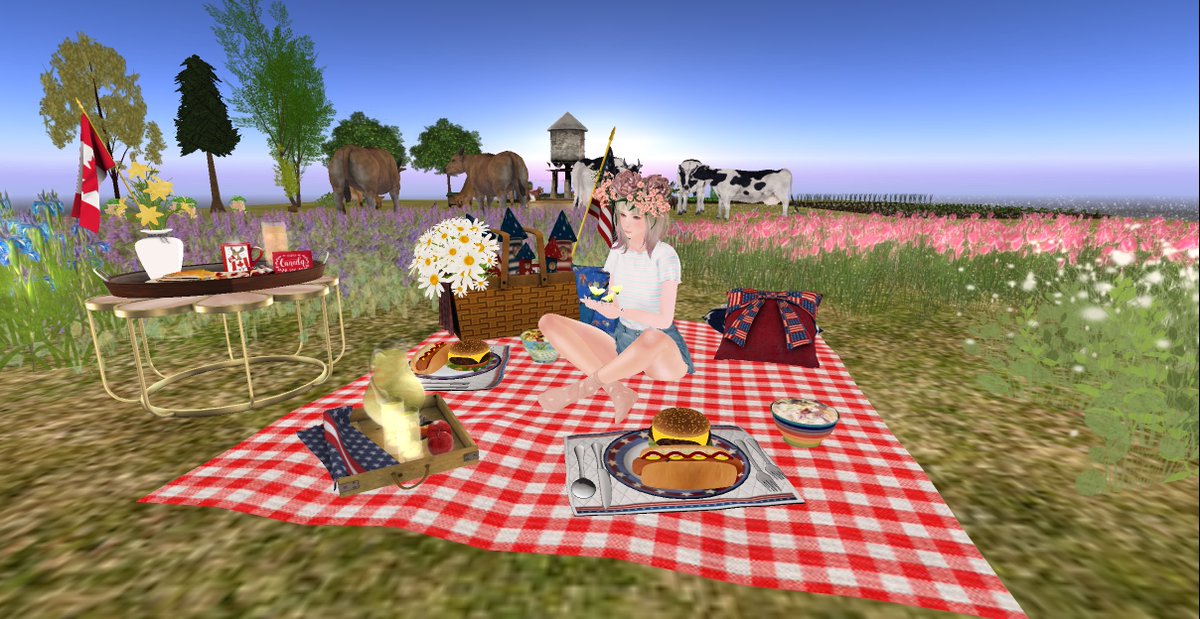 akanecchi0506's tweet photo. DFS Independence Day Picnic 2020に無理やり座った結果 https://t.co/RwFbH9w8zU