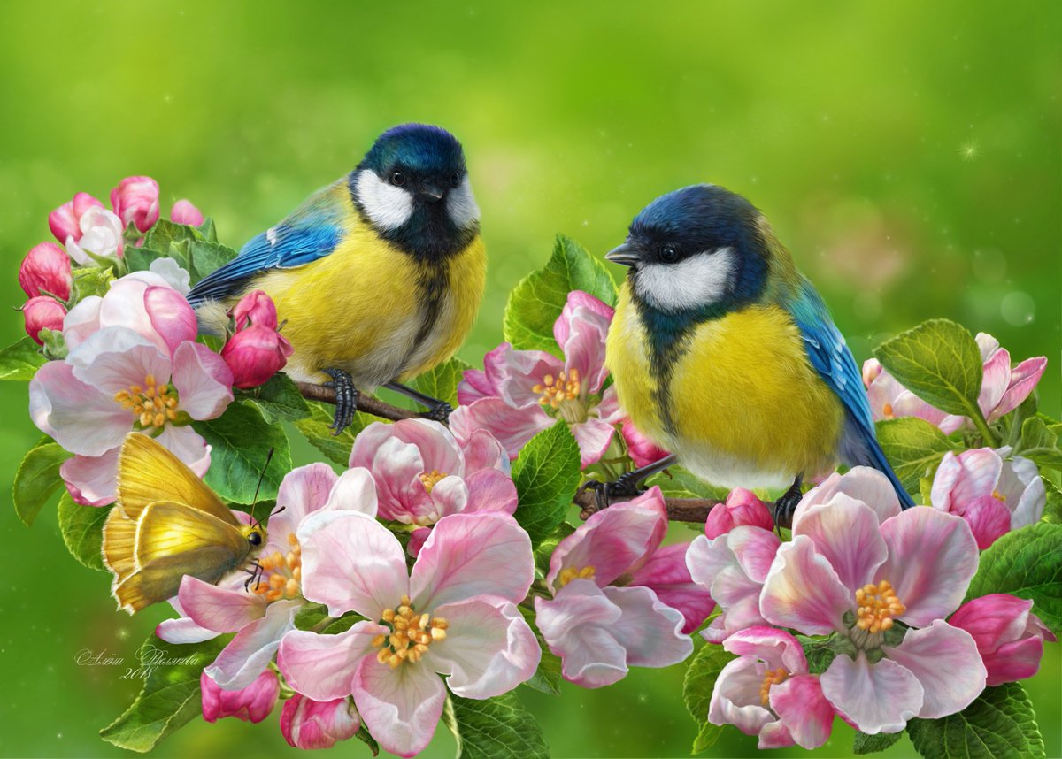 gauthie74757302's tweet photo. Good morning my dear friends from around the world๐๐๐
Wishing you a pleasant Wednesday of happiness everyone ๐๐๐ค https://t.co/hj28Ycz07D