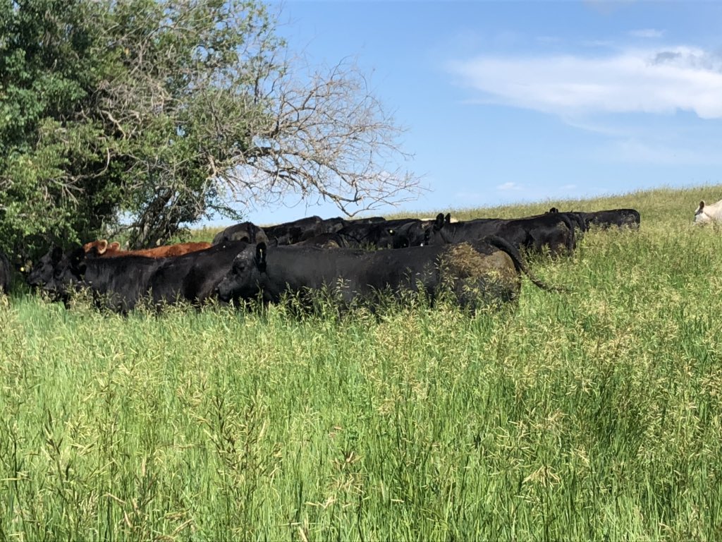 Rob_wunder tweet media