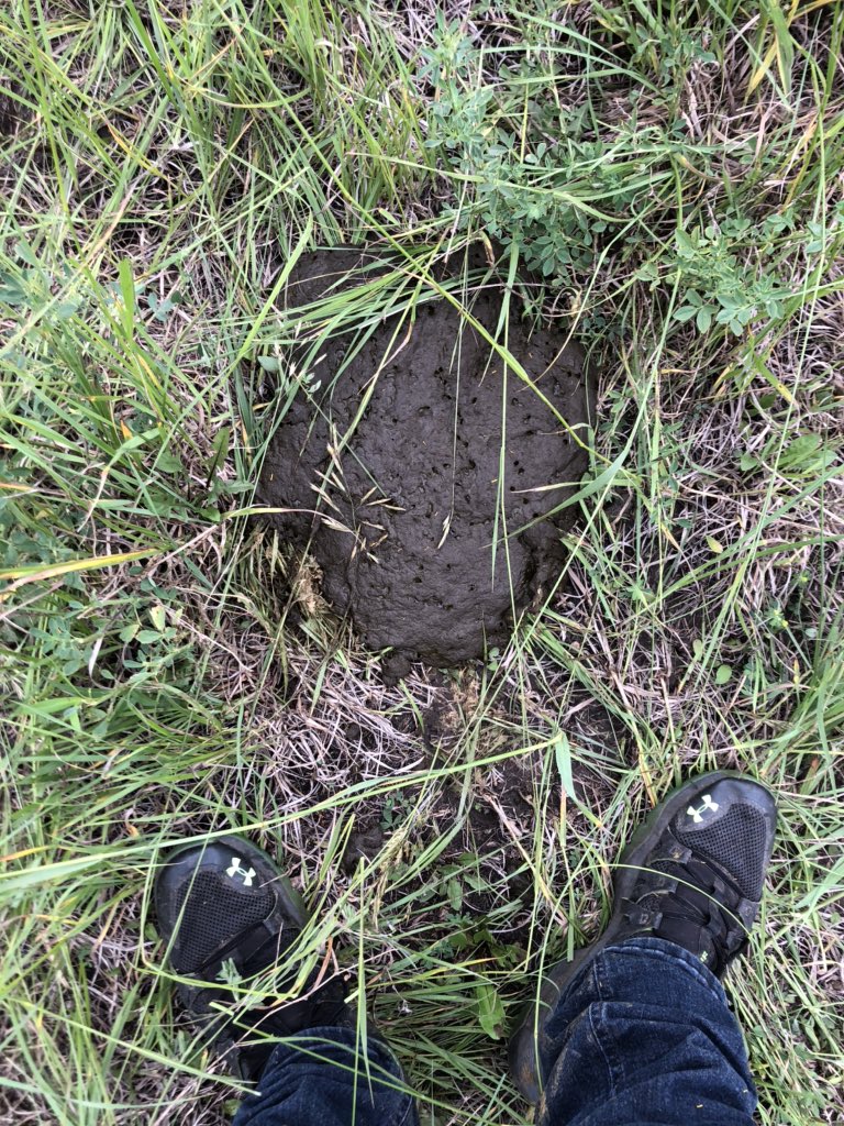 Rob_wunder tweet media