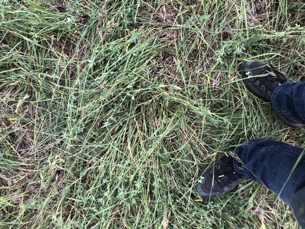 Rob_wunder tweet media