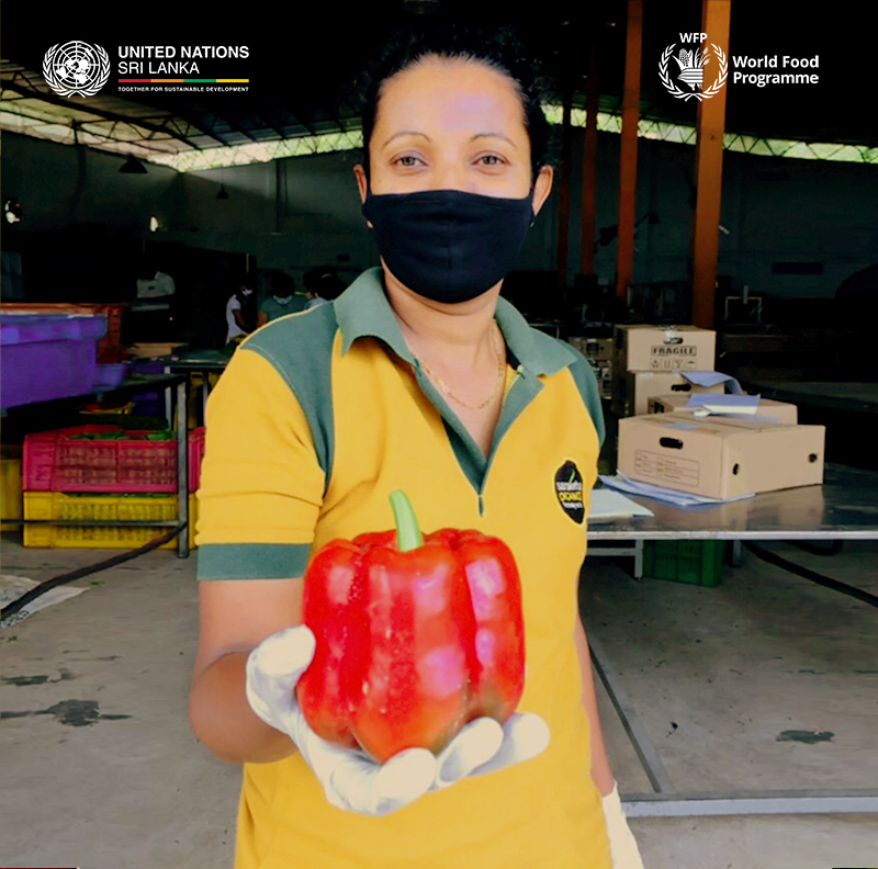 UNSriLanka's tweet photo. "I am grateful and proud of my work and of my colleagues during these times" - Dilini
#HumansOfHopeSL with @WFPSriLanka and @WHOSriLanka
Scroll π for her full story https://t.co/kPeCfxSGIV