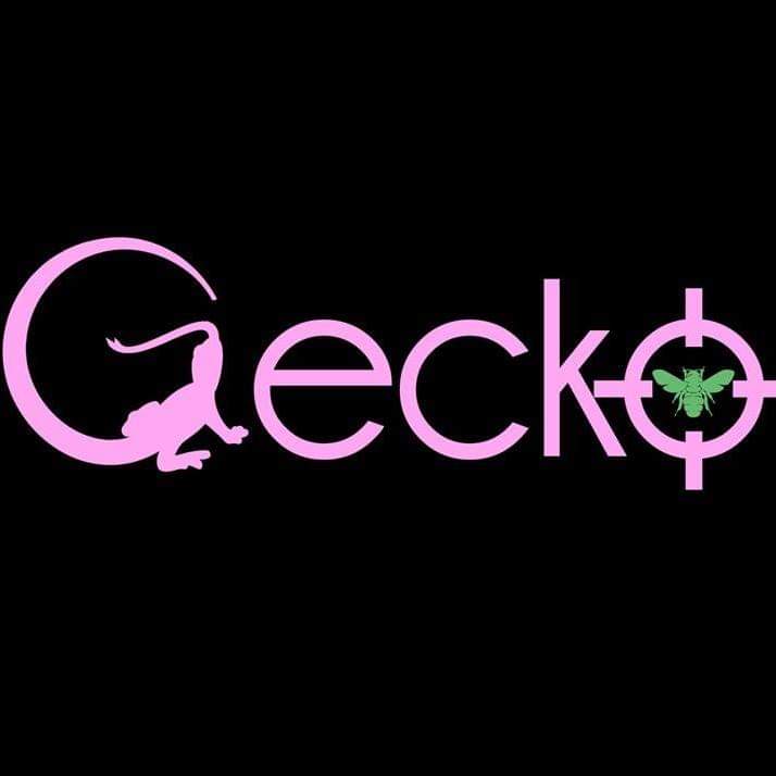 GeckoCo's tweet photo. #NewProfilePic https://t.co/SdUnEW1Ufr