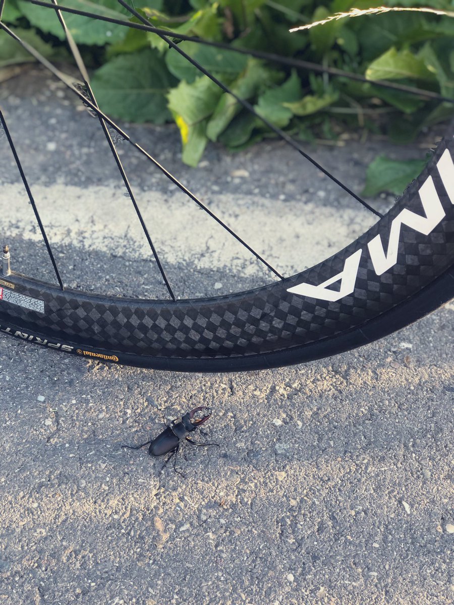 Bon dimecres!!! #cerdanya 😊