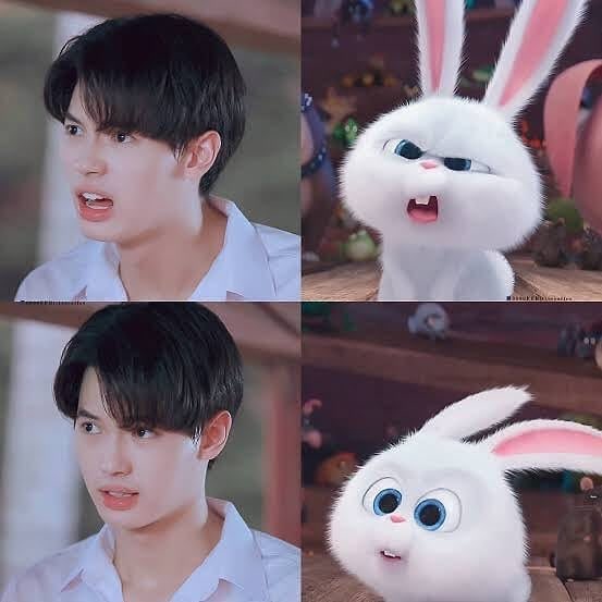 ましろ Shiuntenaka 2gether放送開始後 Winくんが映画 ペット のスノーボールというキャラクターに似てる と話題になったところから生まれたハッシュタグです T Co Xx3u2i7mcp Twitter ましろ Shiuntenaka 2gether放送開始後 Winくんが映画 ペット のスノーボールというキャラクターに似てる と話題になったところから生まれたハッシュタグです T Co Xx3u2i7mcp Twitter