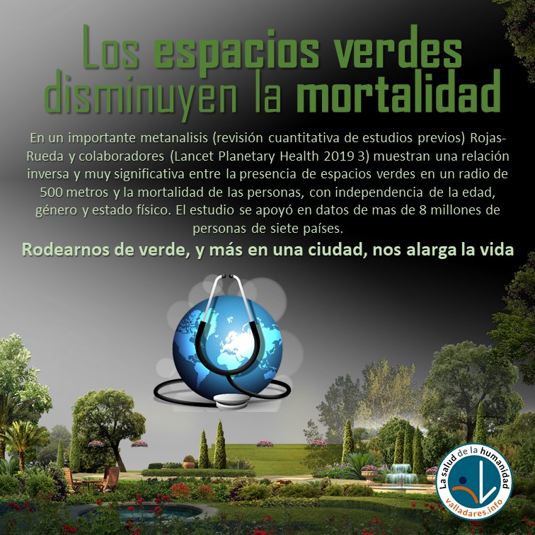 Los espacios verdes en una ciudad no son solo algo estético: nos alargan significativamente la vida. Tener una zona verde en un radio de 500 metros disminuye la mortalidad. Mirad este metanalisis

thelancet.com/journals/lancp… 

#valladaresinfo #saludhumanidad #CiudadesSanas2030