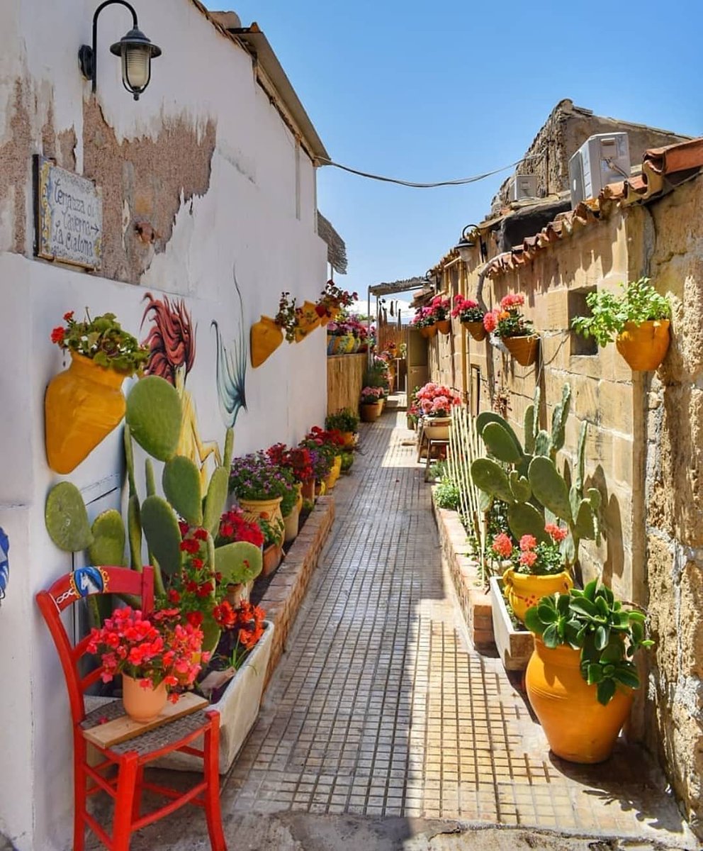Sicily_Transfer's tweet photo. Marzamemi is a southern Italian hamlet of Pachino, a municipality part of the Province of Syracuse, Sicily. 

Marzamemi is located by the Ionian Sea coast of the island of Sicily and is 3.97 kilometers from Pachino.

#love #italy #beautiful #sicily #picoftheday #marzamemi #nature https://t.co/c3Cx2AAsp7