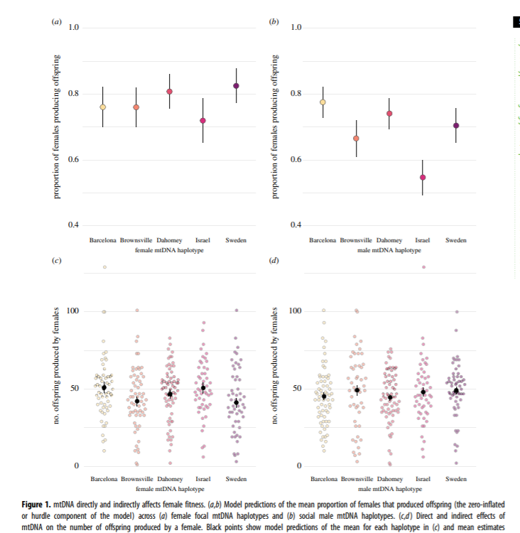 MonashBiol's tweet photo. Does mtDNA have (i) a direct effect on the fitness of the individual carrying it and (ii) an indirect genetic effect on the fitness of a cohabiting opposite-sex individual? Find out here https://t.co/QAMSc29wSR @DK_Dowling #MonashEvolution #MonashGeneticsHealth https://t.co/Sw9ziPb6ur