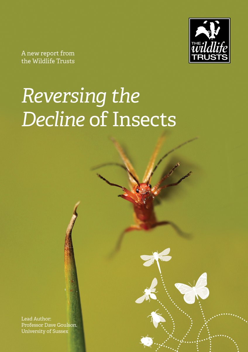 HOT OFF THE PRESS - today, we’re launching our ‘Reversing the Decline of Insects’ report with <a href="/DaveGoulson/">Dave Goulson</a> 🐜🐛🐞🦋 Join us in exploring the positive actions being taken to help insects 👉 wtru.st/2ACqiEY #ActionForInsects