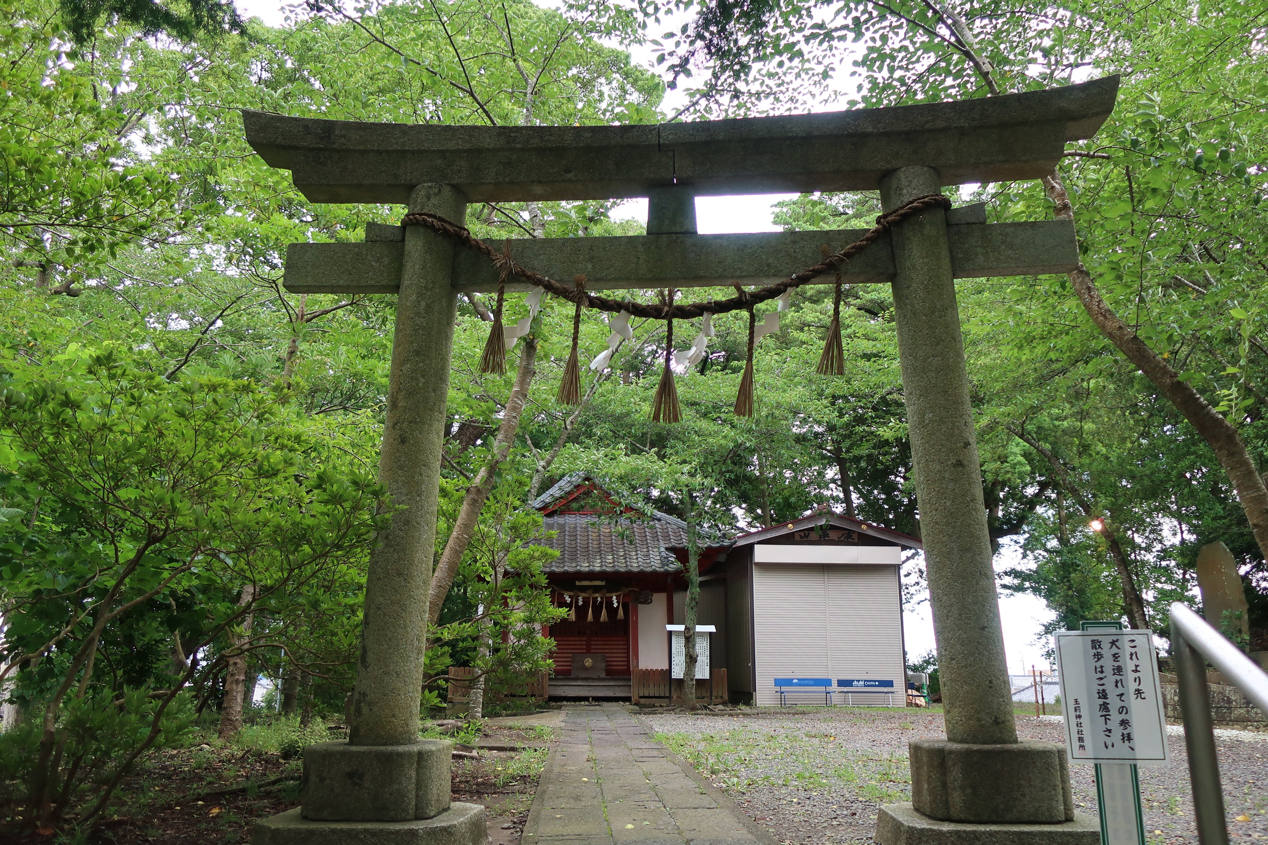 Redrum018 春分 春分の日に玉前神社 寒川神社 富士山 大神山神社 出雲大社へと一直線に繋がるレイラインの始まりの場所 社殿は本殿 幣殿 拝殿が繋がった権現造 神職の方にお聞きしたところ やはりコロナ禍で参拝者数がかなり減ったとのことで