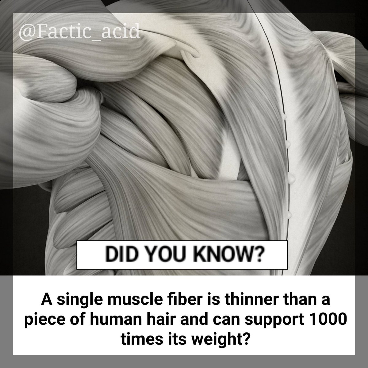 FACTIC_ACID's tweet photo. OMG Facts⬇️

#Pulisic #CRYCHE #zaha #kepa #forcacorona  #Fact #FactCheck #DrKafeelwantsJustice #KurtaTwitter #HappyBirthdayDhoni #HappyBirthdayDada #JhumkaTwitter #trump #Modi #WednesdayMotivation #wednesdaymorning #Prabhas20 #BringBackPayal #SouravGangu https://t.co/7QObwhKfuE