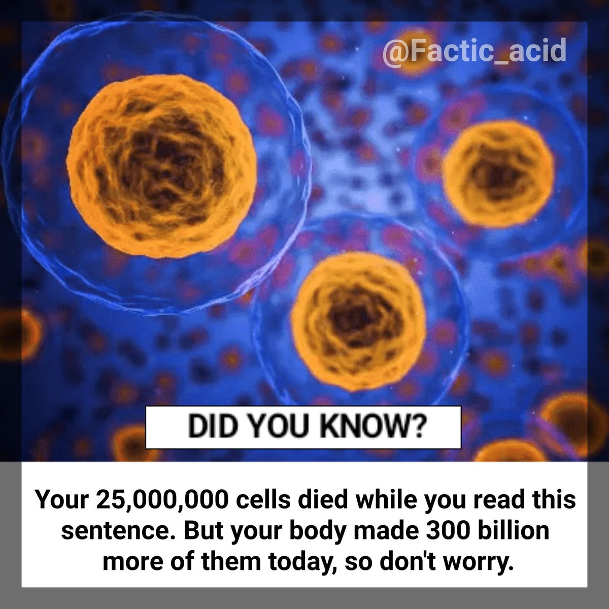 FACTIC_ACID's tweet photo. OMG Facts⬇️

#Pulisic #CRYCHE #zaha #kepa #forcacorona  #Fact #FactCheck #DrKafeelwantsJustice #KurtaTwitter #HappyBirthdayDhoni #HappyBirthdayDada #JhumkaTwitter #trump #Modi #WednesdayMotivation #wednesdaymorning #Prabhas20 #BringBackPayal #SouravGangu https://t.co/styQp3o9Og