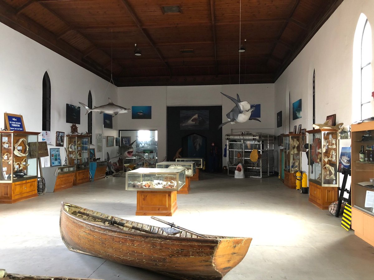 MarkKTozer's tweet photo. Our Rodney Fox Great White Shark Expeditions / Learning Centre is starting to take shape. #rodneyfox #greatwhiteshark #learningcentre #oncebitten https://t.co/IZC4QC9CQu