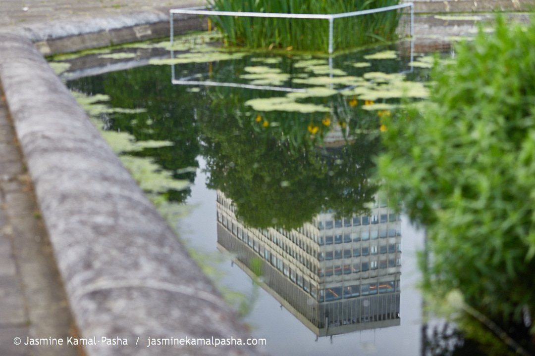 jasminepasha_'s tweet photo. Taken in the heart of #London, this #reflection caught my eye. It appeared as if the #concrete building was growing from the #trees below. To me this represents the #intertwining of the #humanmade world 🏙 and the natural world 🌳
#nature #urbannature #nationalparkcity https://t.co/m5KrEm4Dbu