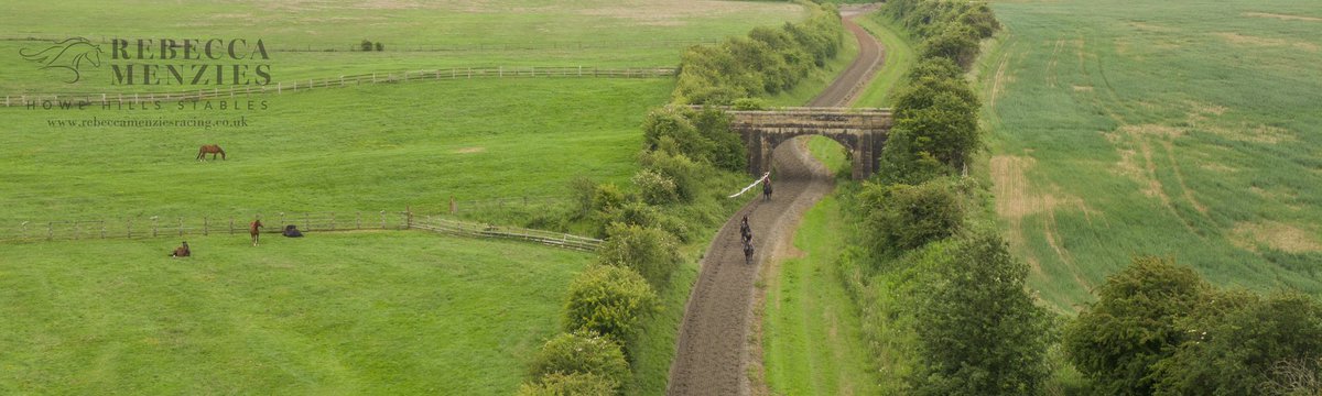 ThoroughbrdTale's tweet photo. Here’s a couple of views of the 2 gallops from above. Both of them very different - I will get you some GoPro footage this week so you can ride them yourselves! 🐎#Howehills #thenorth #topclassfacilities https://t.co/0DcCjzJoCE